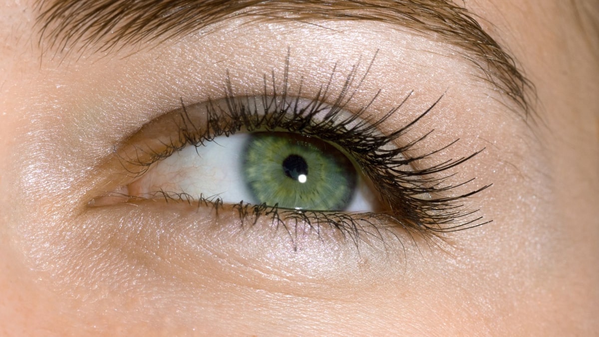 Eyes that Enchant: Makeup Tips to Enhance Your Gaze